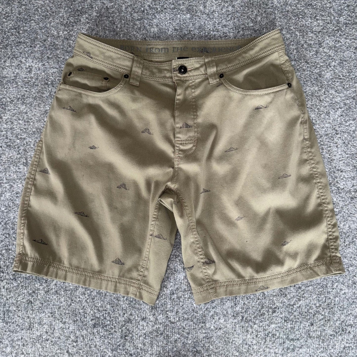 prAna Brion Shorts Mens 32 Olive Green Geometric Hiking Outdoor Casual Stretch