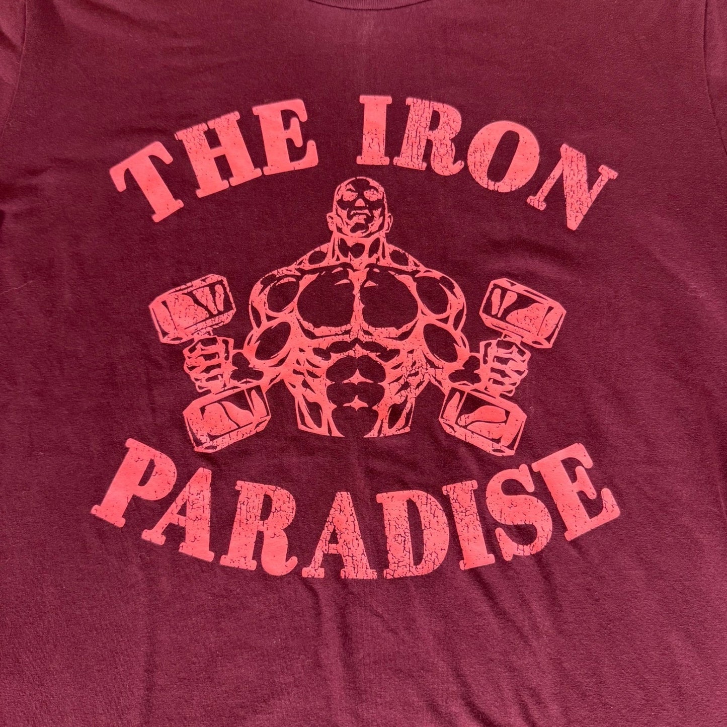 Under Armour Project Rock Mens Iron Paradise Graphic T-Shirt Maroon Medium Gym